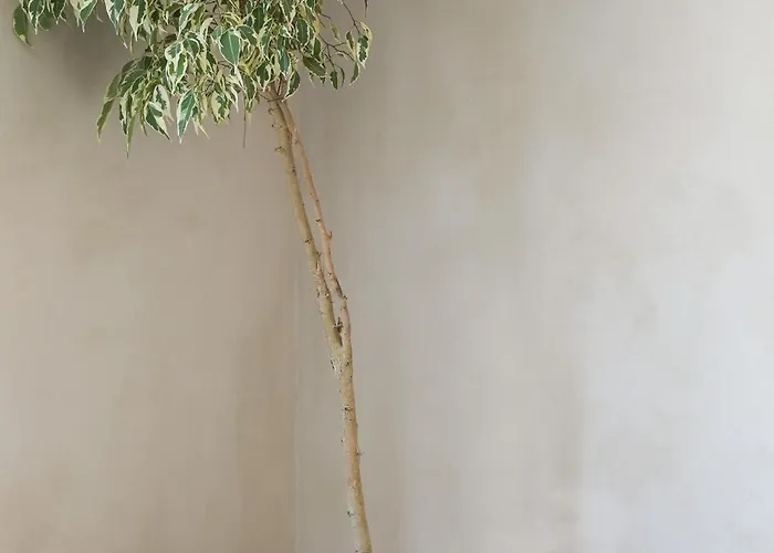 New Town Deluxe Loft *